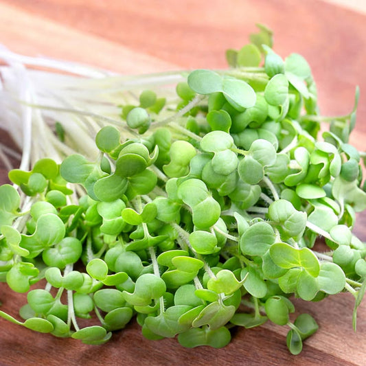 Mustard 100 gms - Microgreens(Ready to Eat)