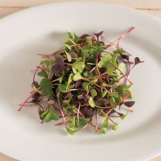 Radish Pink 100 gms - Microgreens(Ready to Eat)