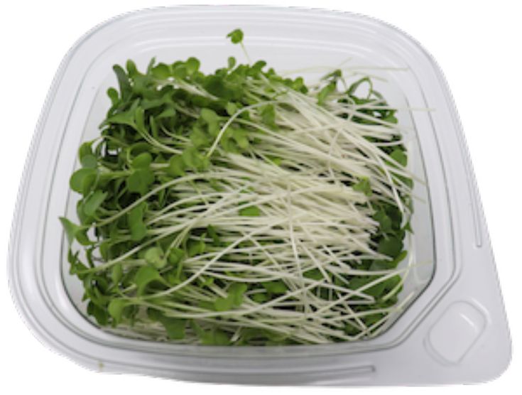 Broccoli 100 gms - Microgreens (ready to eat)