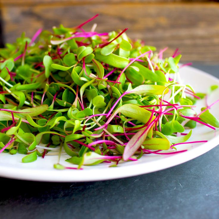 Beet Root 100 gms - Microgreens(Ready to Eat)