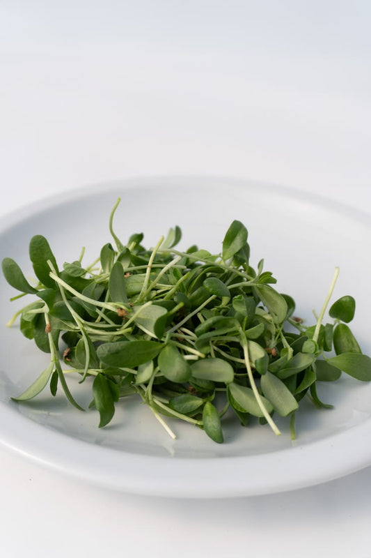 Fenugreek 100 gms - Microgreens(Ready to Eat)