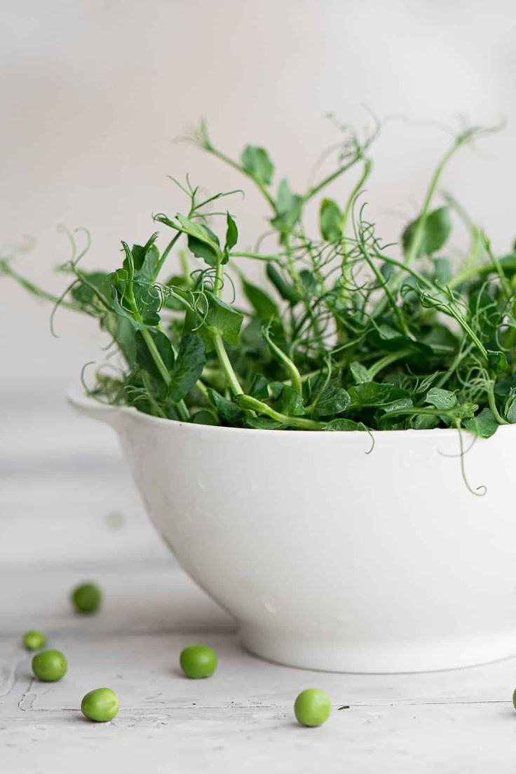 Pea Shoots 100 gms - Microgreens(Ready to Eat)