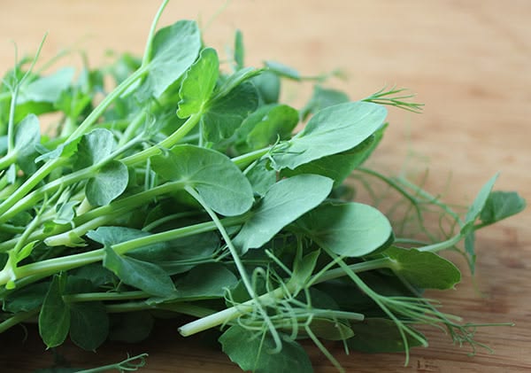 Pea Shoots 100 gms - Microgreens(Ready to Eat)